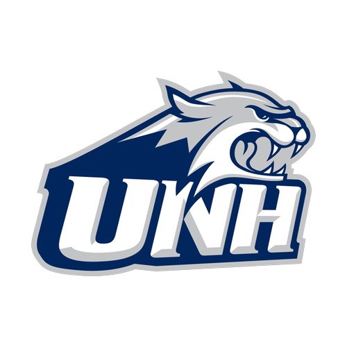 New Hampshire logo